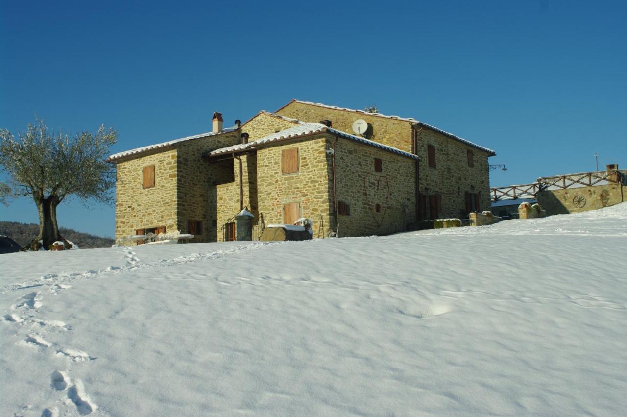 Agriturismo D'Ambiano Arezzo Exteriör bild