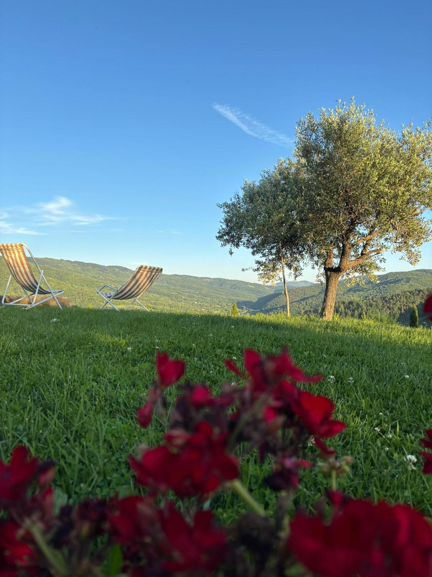 Agriturismo D'Ambiano Arezzo Exteriör bild