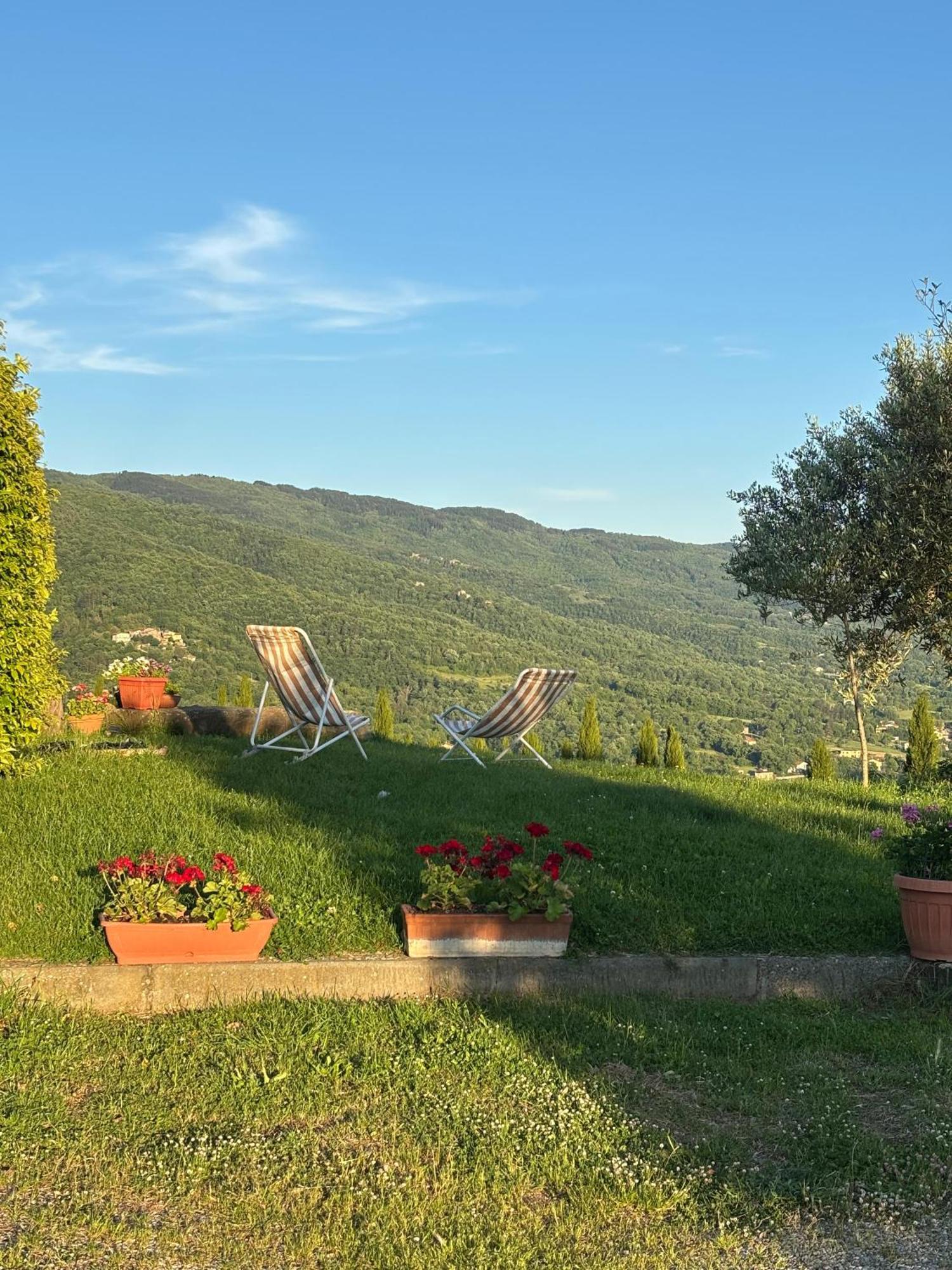 Agriturismo D'Ambiano Arezzo Exteriör bild