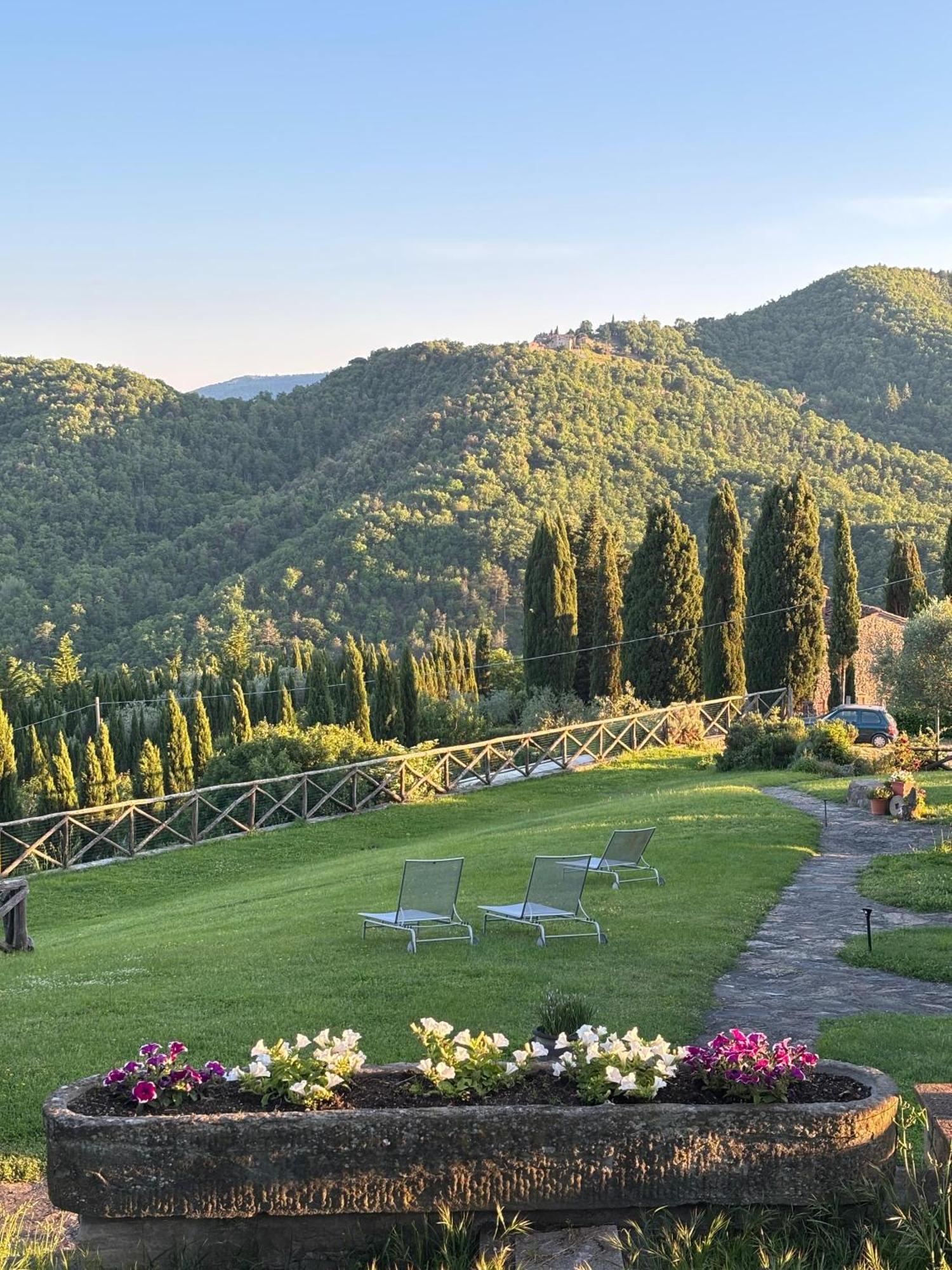 Agriturismo D'Ambiano Arezzo Exteriör bild